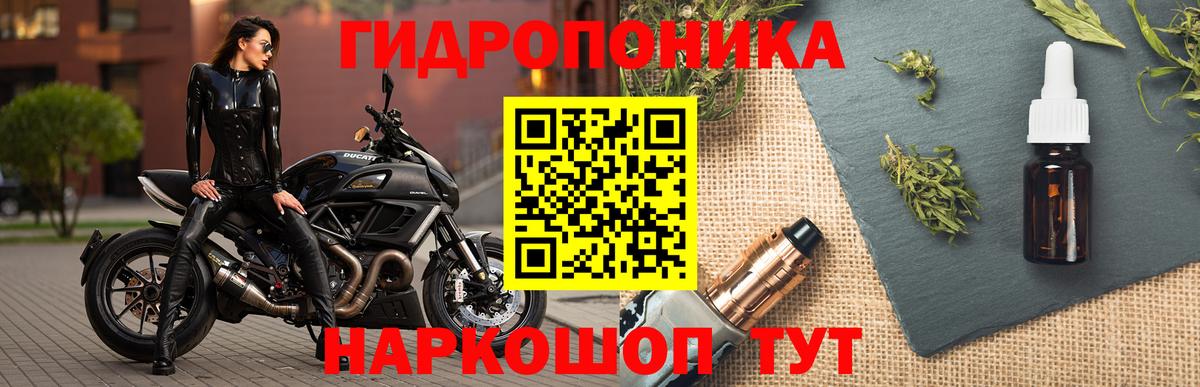 Бошки марихуана SATIVA & INDICA  Марихуана VHQ  Вход с VPN  Бошки марихуана гибрид  Нурлат 