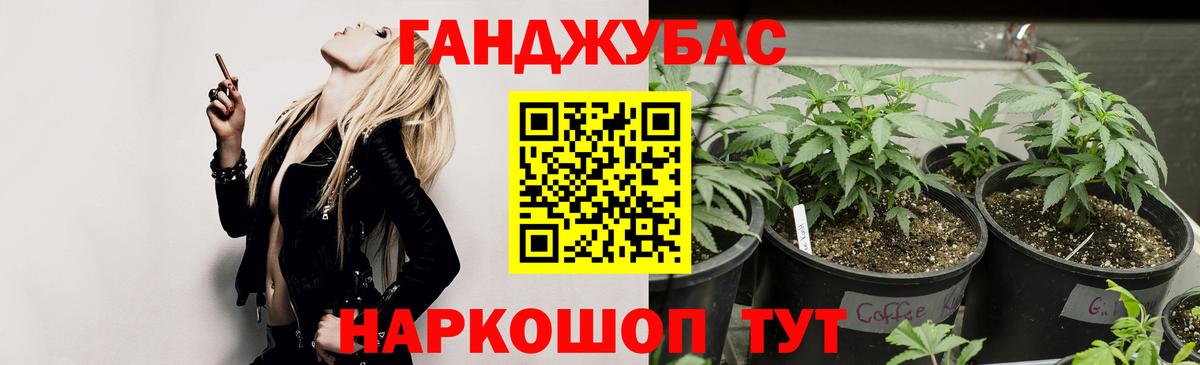 МАРИХУАНА сатива Нурлат